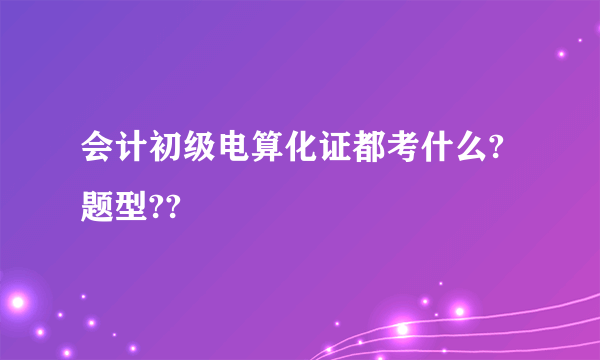 会计初级电算化证都考什么?题型??