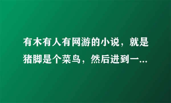 有木有人有网游的小说，就是猪脚是个菜鸟，然后进到一个游戏里一下就变高手了，然后猪脚风华绝代的那种！！