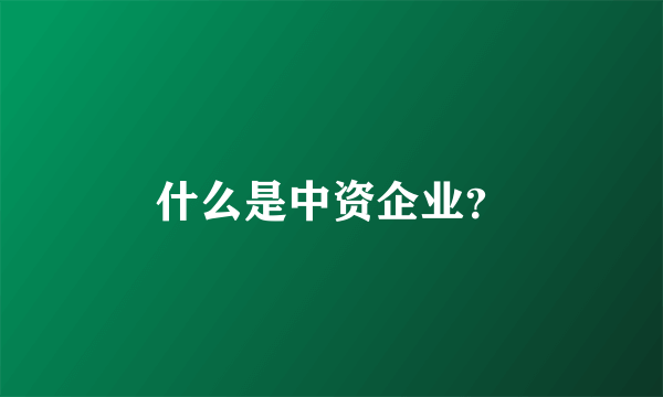 什么是中资企业？