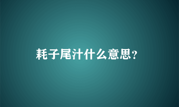 耗子尾汁什么意思？