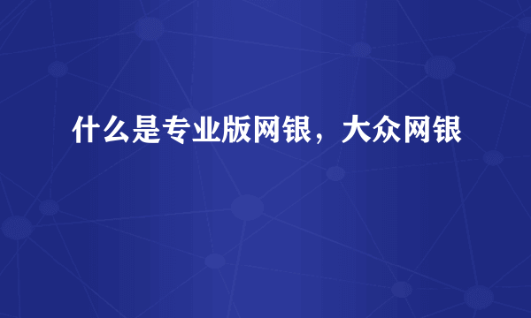 什么是专业版网银，大众网银