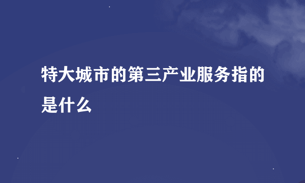 特大城市的第三产业服务指的是什么