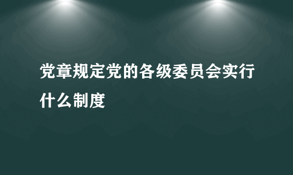 党章规定党的各级委员会实行什么制度