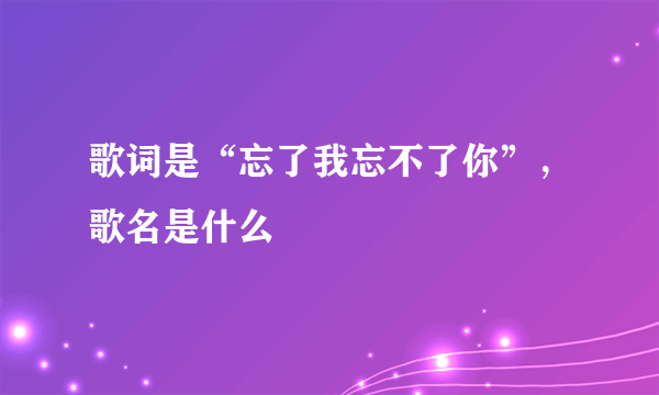 歌词是“忘了我忘不了你”，歌名是什么