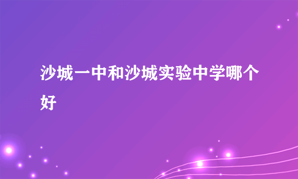 沙城一中和沙城实验中学哪个好