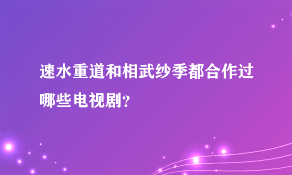 速水重道和相武纱季都合作过哪些电视剧？