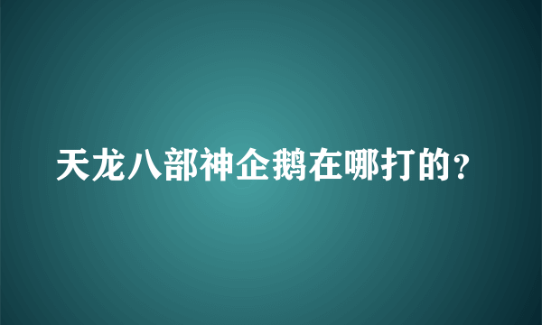 天龙八部神企鹅在哪打的？