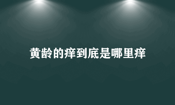 黄龄的痒到底是哪里痒