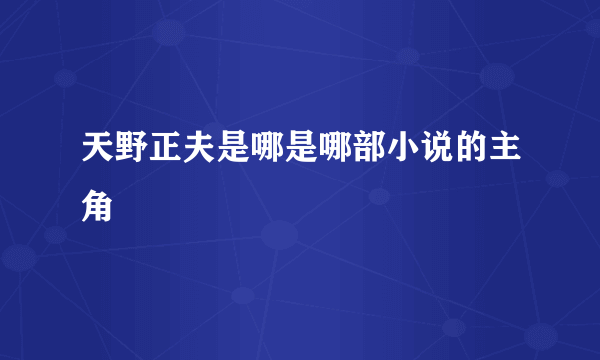 天野正夫是哪是哪部小说的主角