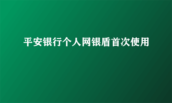 平安银行个人网银盾首次使用