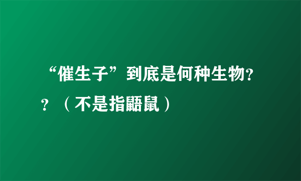 “催生子”到底是何种生物？？（不是指鼯鼠）