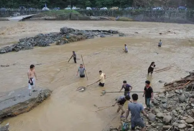 四川达州暴雨！大鱼游上街头四处乱窜！洪水中的鱼可以打捞来吃吗？