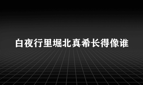 白夜行里堀北真希长得像谁