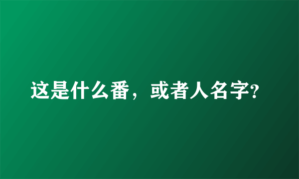 这是什么番，或者人名字？