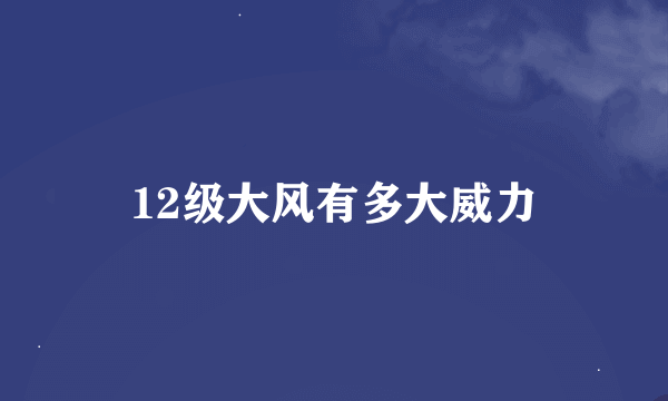 12级大风有多大威力