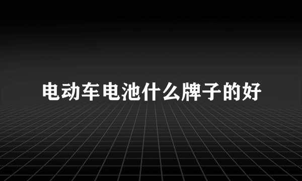 电动车电池什么牌子的好