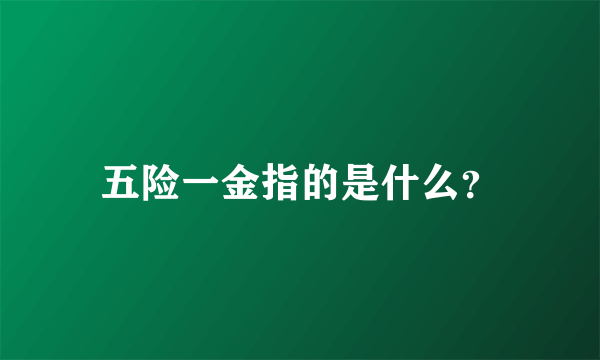 五险一金指的是什么？