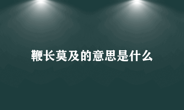 鞭长莫及的意思是什么