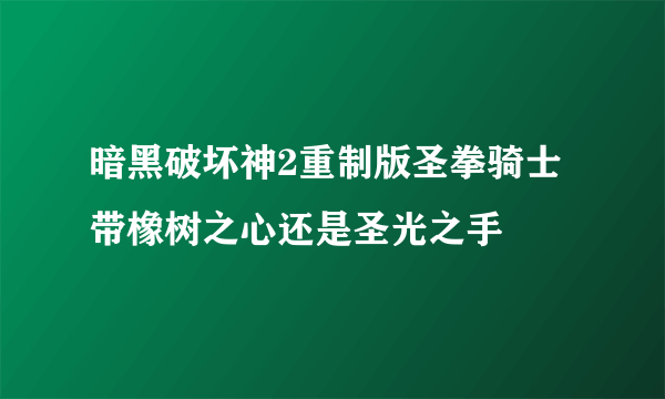 暗黑破坏神2重制版圣拳骑士带橡树之心还是圣光之手