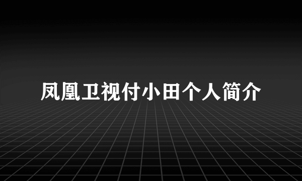 凤凰卫视付小田个人简介