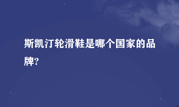 斯凯汀轮滑鞋是哪个国家的品牌?