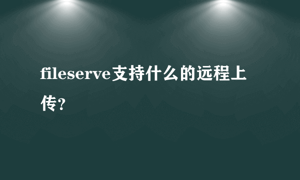 fileserve支持什么的远程上传？