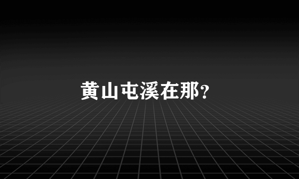 黄山屯溪在那？