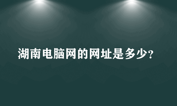 湖南电脑网的网址是多少？