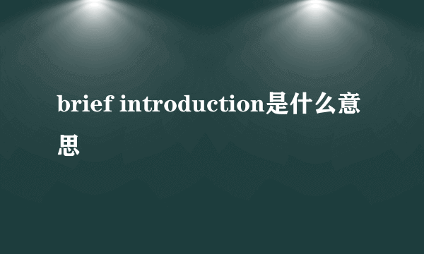 brief introduction是什么意思