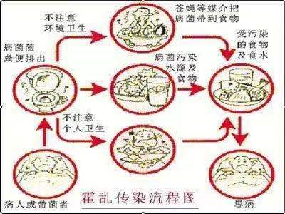 霍乱病毒是什么？我国在什么时候曾发生过霍乱病毒？