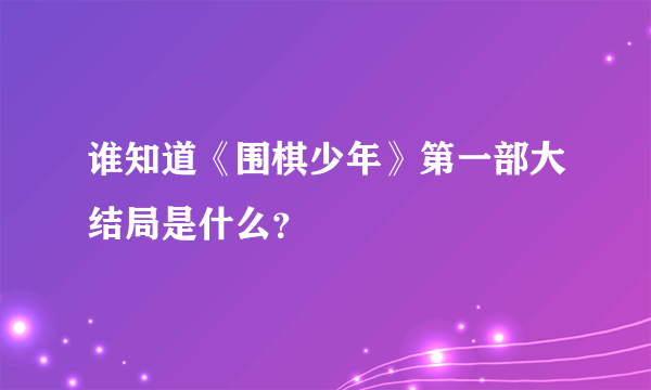 谁知道《围棋少年》第一部大结局是什么？