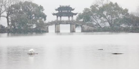 西湖下雪太美了，仿佛泼墨山水画，现场到底有多美？