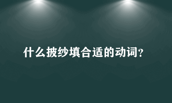 什么披纱填合适的动词？