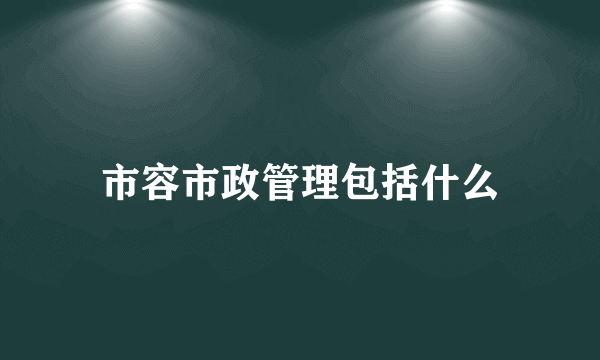 市容市政管理包括什么