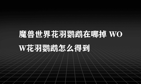 魔兽世界花羽鹦鹉在哪掉 WOW花羽鹦鹉怎么得到