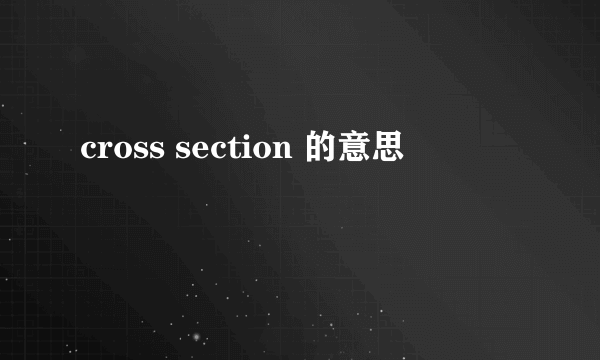 cross section 的意思