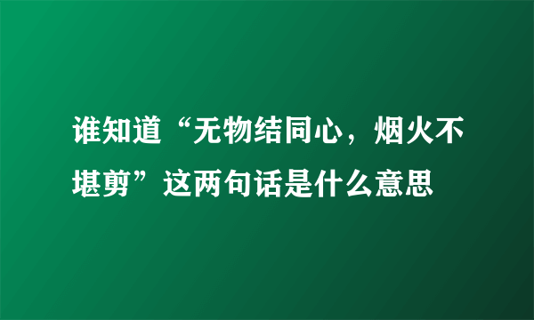 谁知道“无物结同心，烟火不堪剪”这两句话是什么意思