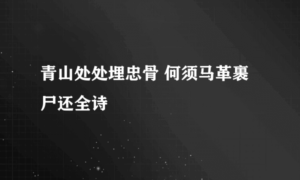 青山处处埋忠骨 何须马革裹尸还全诗