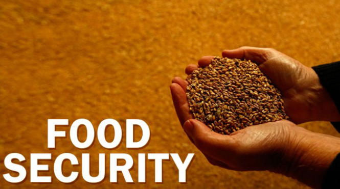 food safety与food security有什么区别？