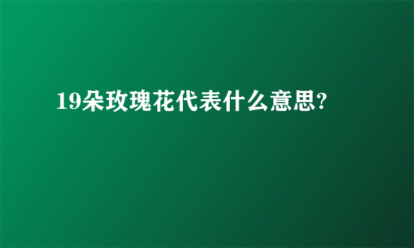 19朵玫瑰花代表什么意思?