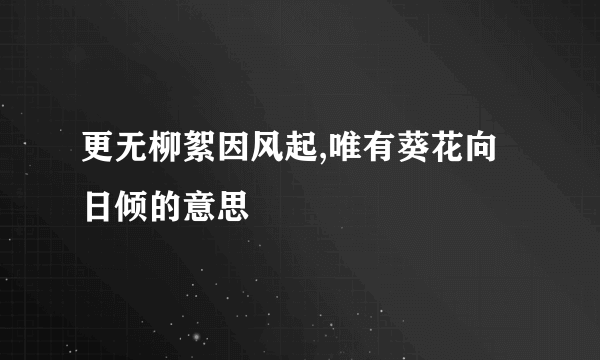 更无柳絮因风起,唯有葵花向日倾的意思