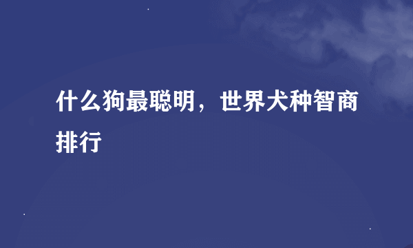 什么狗最聪明，世界犬种智商排行