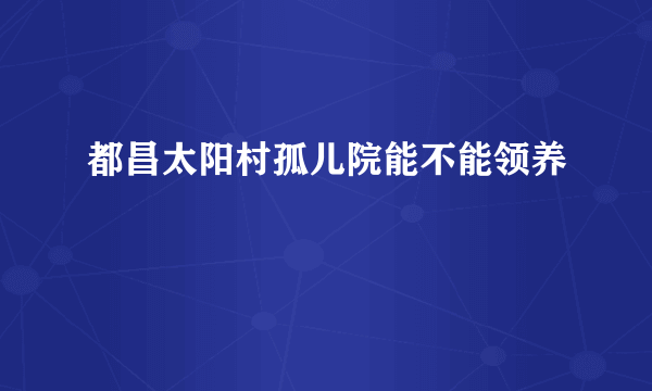 都昌太阳村孤儿院能不能领养