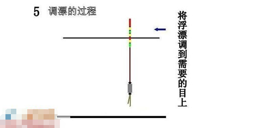 钓鱼调漂的正确方法