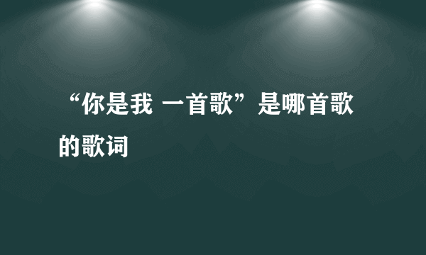 “你是我 一首歌”是哪首歌的歌词