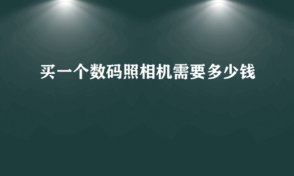 买一个数码照相机需要多少钱