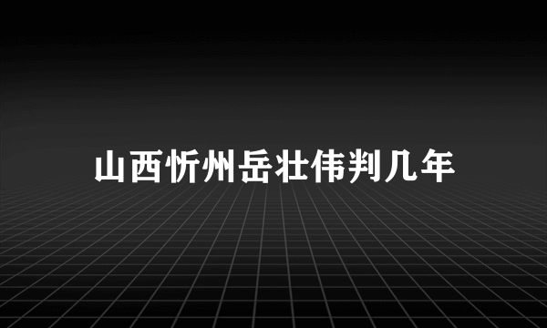 山西忻州岳壮伟判几年