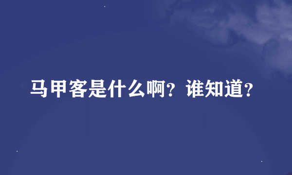 马甲客是什么啊？谁知道？