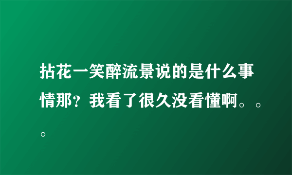 拈花一笑醉流景说的是什么事情那？我看了很久没看懂啊。。。