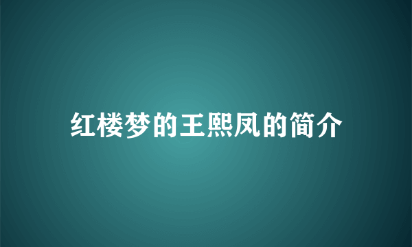 红楼梦的王熙凤的简介